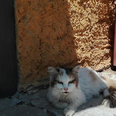 דירות רונצ'יליונה La Vecchia Mola מראה חיצוני תמונה